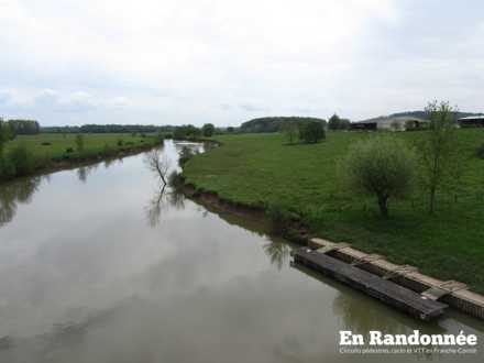 Les rives de Saône