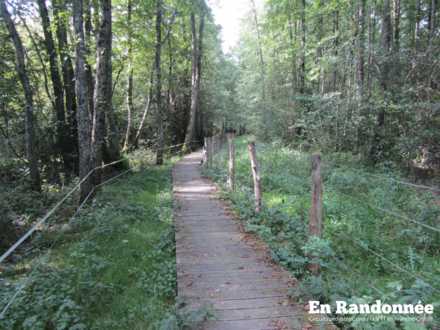 Platelage sur une zone de drainage