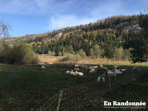 Le Tour du Grand Lac d'Étival
