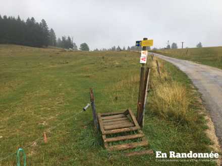 Sentier sur le Mont Vouillot (1160m)