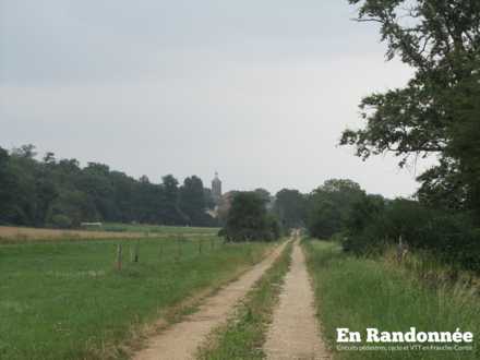 Chemin menant à Chenevrey