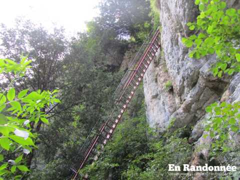 Les échelles de la mort