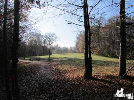 Parcours de santé dans la forêt de Chailluz