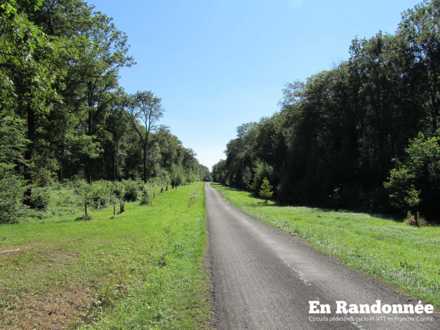 Forêt de la Tuilerie