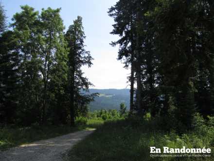 Vue sur le Meix Musy à travers bois