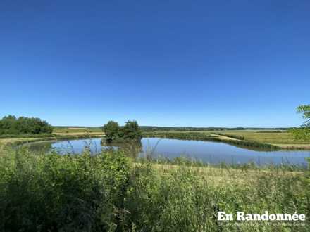 Étang privé entre Mérey-Vieilley et Vieilley