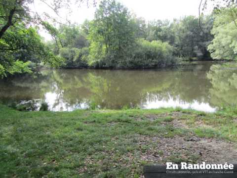 Les marais de Saône – la boucle de l'eau