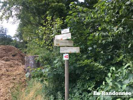 Le Rebillet, retour vers la station de Métabief