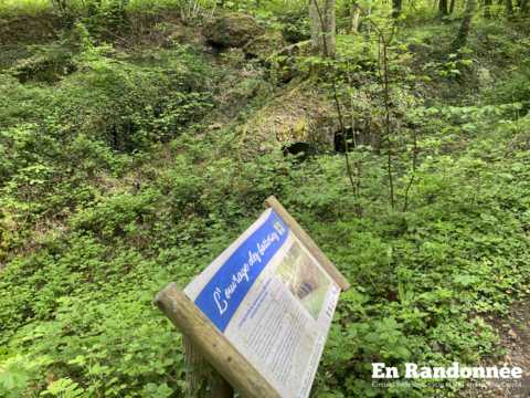 Tour des Forts "Est"