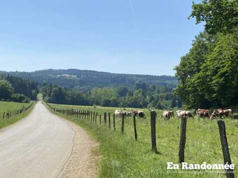 Vallon de Sancey et Cusancin