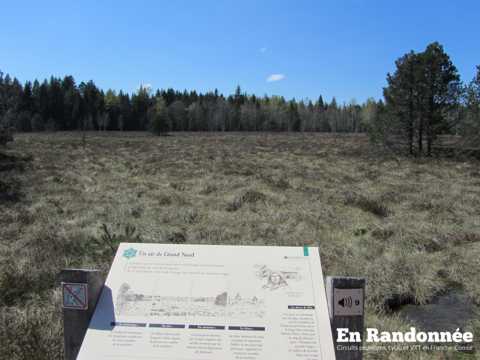 Les tourbières de Frasne