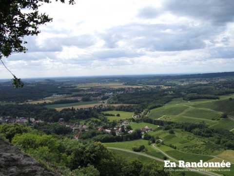Château-Chalon et son vignoble