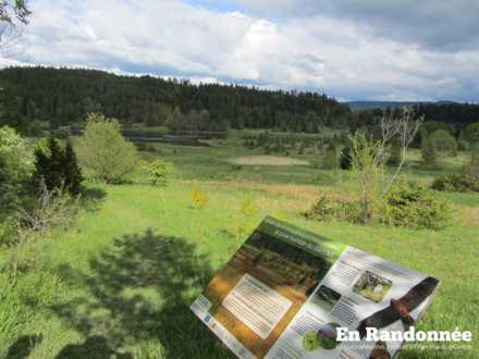 Panneau d'interprétation à proximité du Barchet