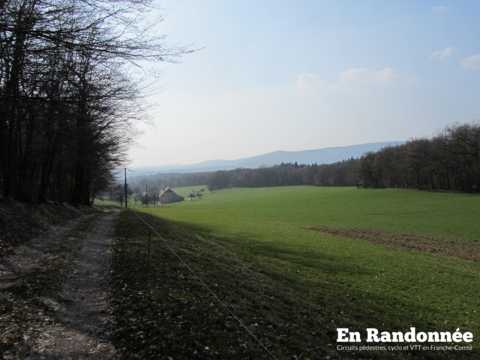 Thise - Roche-lez-Beaupré par le bois de Ban