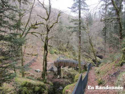 Aménagements aux pertes de l'Ain