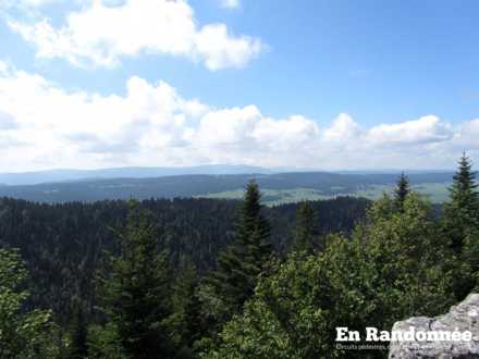 Vue sur les Alpes Suisses