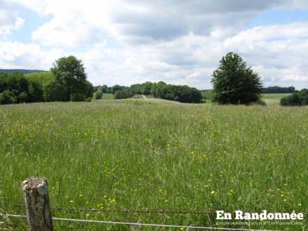Pâtures en direction de Fourg