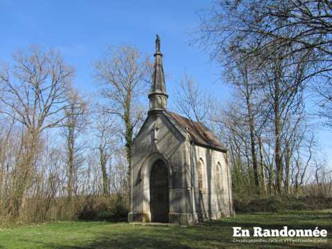 Le bois de Natoy