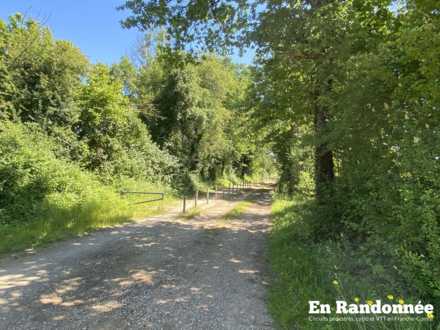 Chemin à proximité de Bonnay