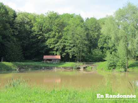 Etang privé de Jouhe