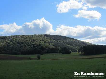 Vue sur le Bois de la Côté d'Or