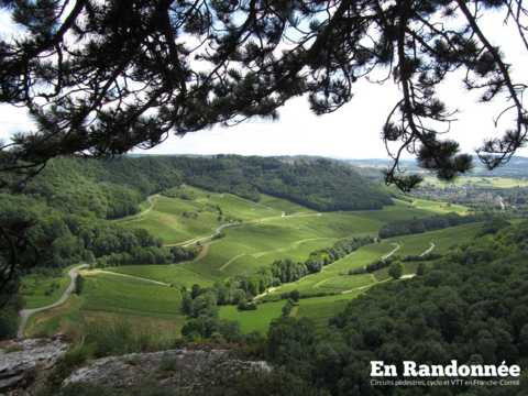 Château-Chalon et son vignoble