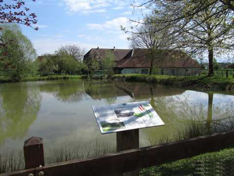 Entre vignoble et Bresse Jurassienne