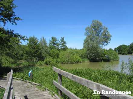 Etang de Breuillez