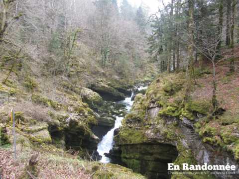 Les pertes de l'Ain