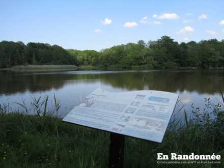 Etang Chardenet