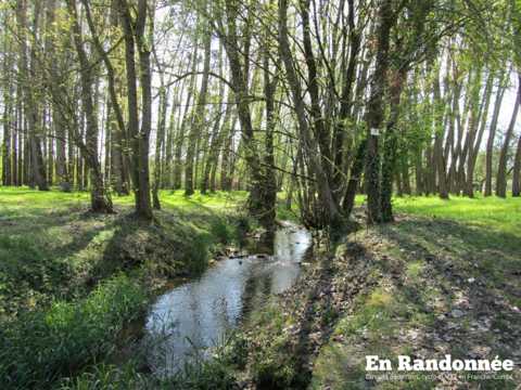 Le Grand Tour des Monts de Gy