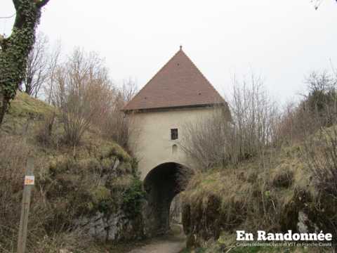 Les pertes de l'Ain