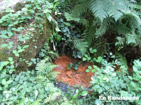 La chapelle Saint-Brice - Betaucourt