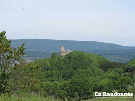 Vue sur le Château médiéval de Montfaucon