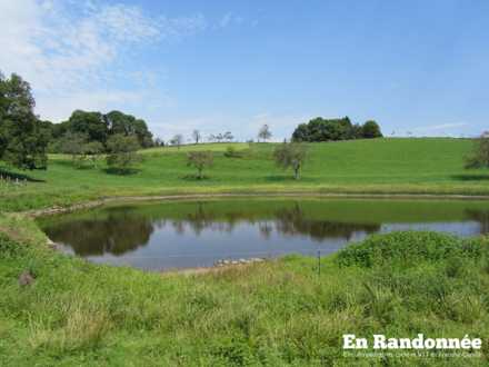 Etang du Grand Fahys