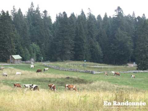 La vallée de Joux - Chaux-Neuve