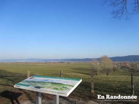 A la découverte des zones humides de Frasne et Bouverans