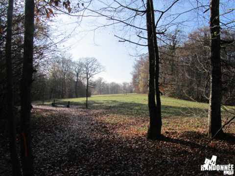 La forêt de Chailluz