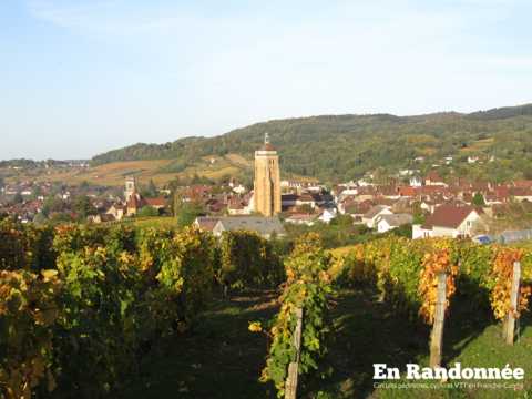 Le vignoble de Pupillin