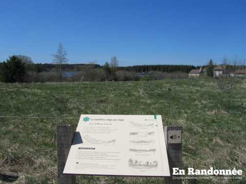 Les tourbières de Frasne