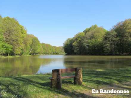 Etang de la Goutte Chevalier