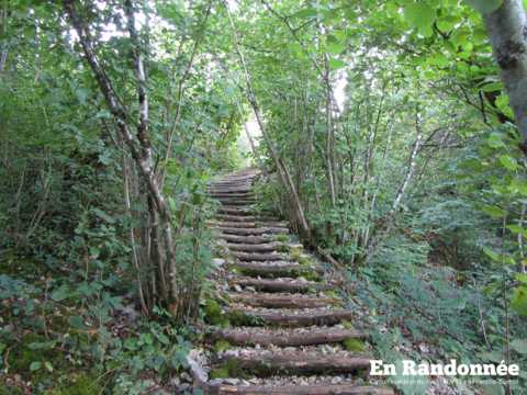 Les coteaux de Rosemont