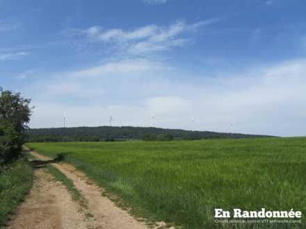 Vue sur les éoliennes du Lomont