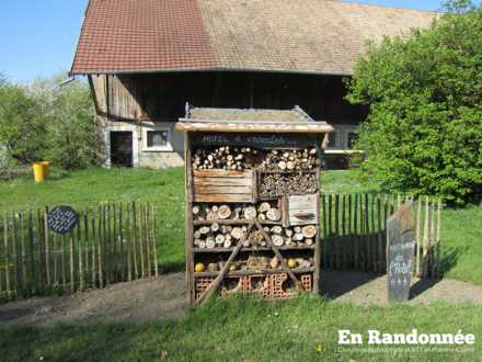 Hôtel à insectes, rue de l'Ecrevisse