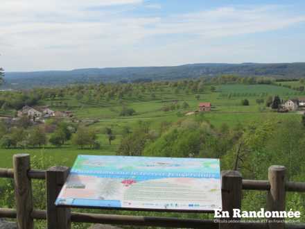 Vue sur les vergers de cerisiers