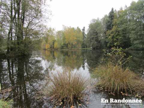 Le Plateau des Grilloux